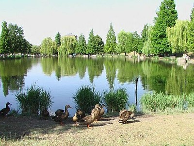 Parco Amendola
