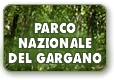 Il Parco Nazionale del Gargano sceglie Progetti di Impresa foto 